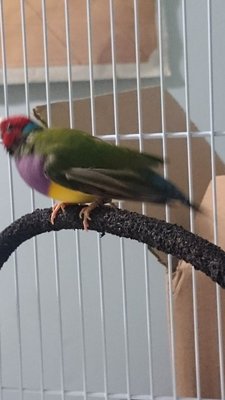 DSC_3802.JPG