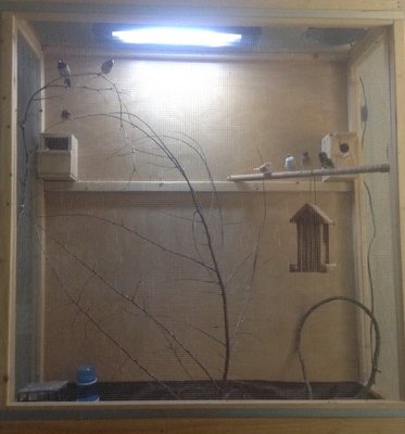 Their enclosure