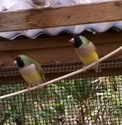 WP_20170208_08_17_03_Pro.jpg