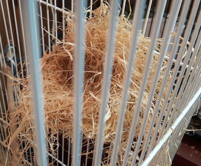 20170209_090640.jpg