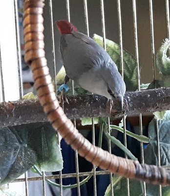 20170211_170429.jpg