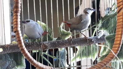 20170211_165541.jpg