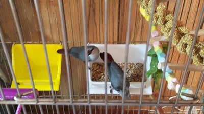 20170211_183154.jpg