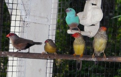 DSCN0015.JPG