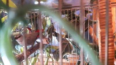 20170211_181917.jpg