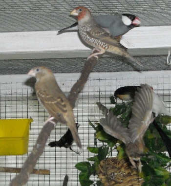 DSCN0032.JPG