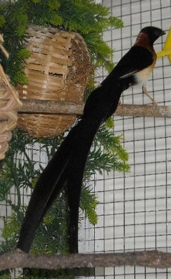 DSCN0037.JPG