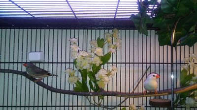 0216171716a_resized.jpg