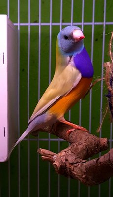 20161105_212651 (1).jpg