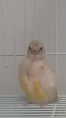 20170221_103130.jpg