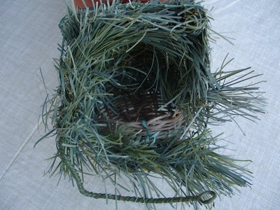 DSC09872.JPG