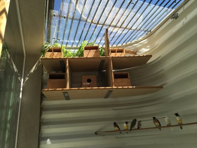 Here is the nesting area