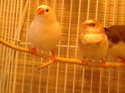 20151003_145358.jpg