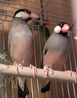 20170219_183746.jpg