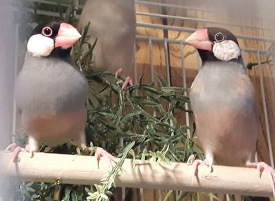 20170219_183952.jpg