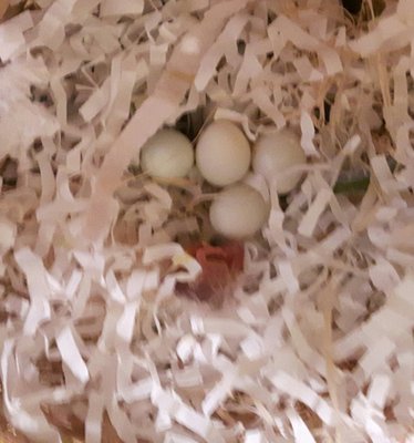 20170303_204216.jpg