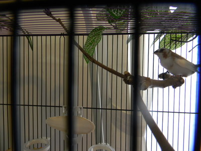 DSCN2105.JPG