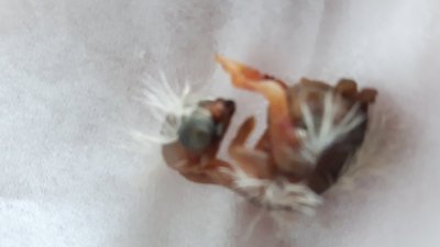 20170304_163605.jpg