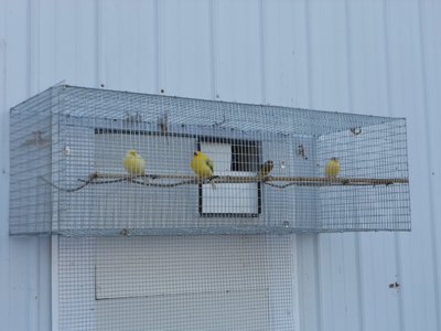 DSCN1004.JPG