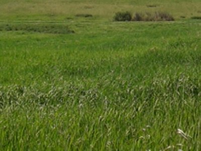 20161008_180458.jpg