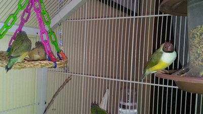 0321171505_resized.jpg