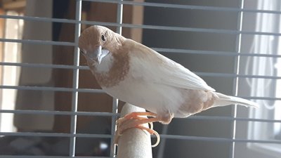 20170322_174856.jpg