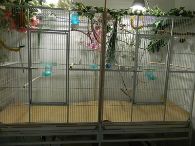 This is their cage