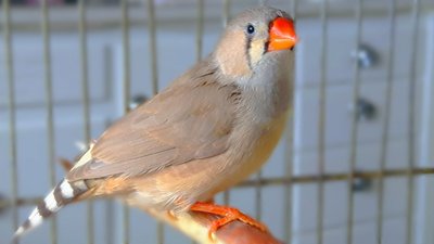 IMG_20170325_184909.jpg
