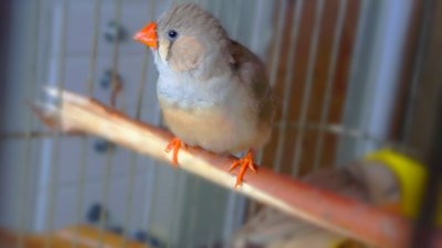IMG_20170325_191612.jpg