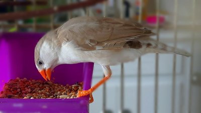 IMG_20170325_184426.jpg