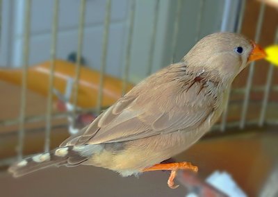 IMG_20170325_190824.jpg