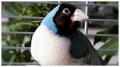 IMG_20170329_015754.jpg