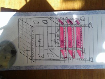 20170404_113549.jpg