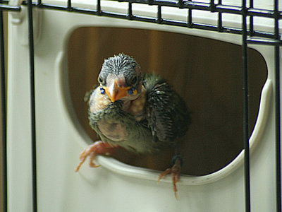 080110e.jpg