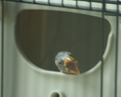 080110c.jpg