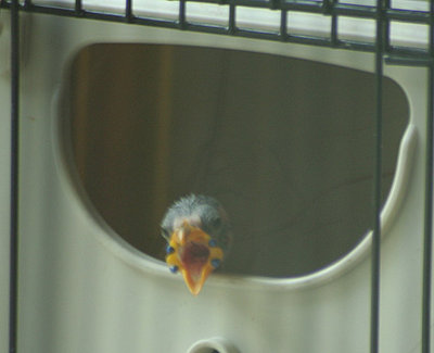 080110a.jpg
