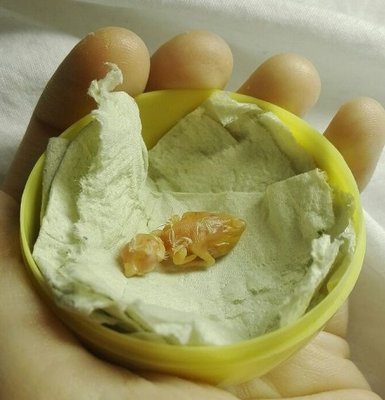 baby need snack.jpg