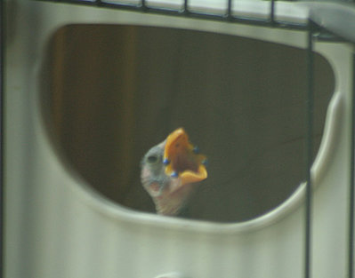 080110d.jpg