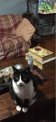 IMG_0189.jpeg