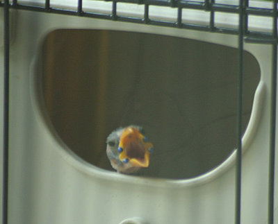 080110b.jpg