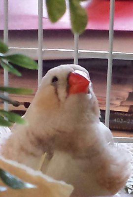 Max, my miracle boy...