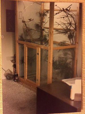 FullSizeR (2).jpg