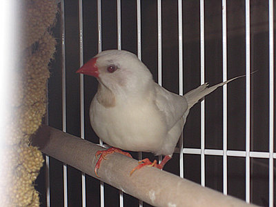 Sept0209c.jpg