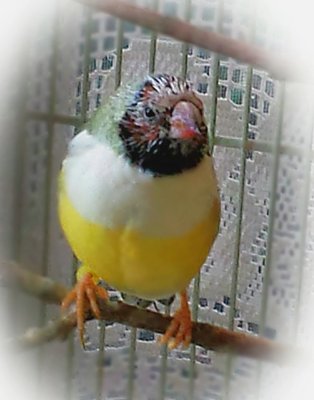 IMG_20161211_195451.jpg