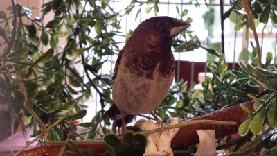 20160317_165337.jpg