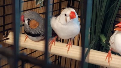 20170514_125953.jpg