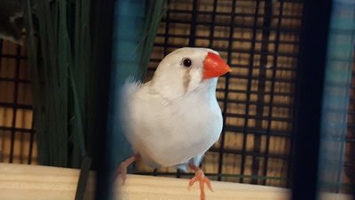 20170514_125721.jpg