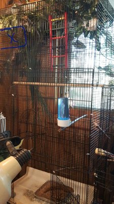 IMG_20170516_123432.jpg
