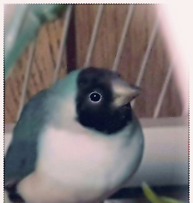 20170305_140349.jpg