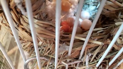 20170519_151829.jpg
